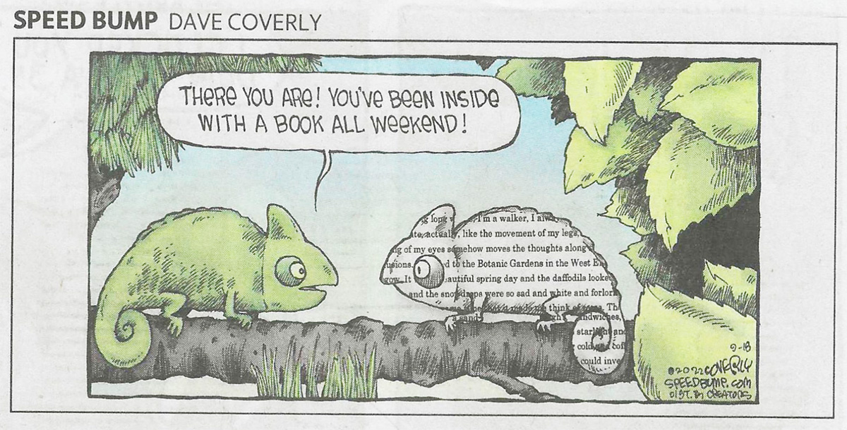 Chameleon Reader